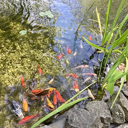 Apartmán Relax Sümeg