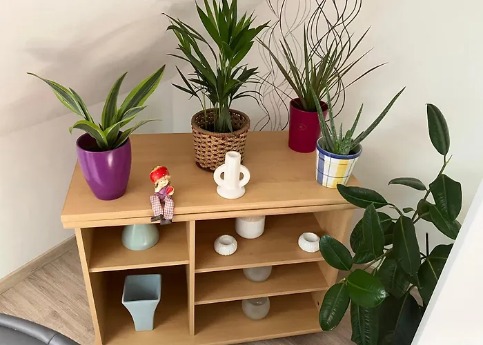Relax Apartman-suemeg *